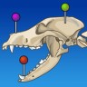 兽医解剖学app 3.1.4 安卓版
