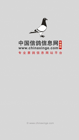 中国信鸽信息网各地公棚