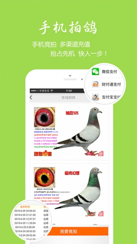 中国信鸽信息网各地公棚