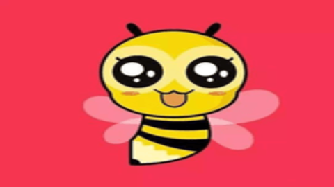 小蜜蜂直播视频