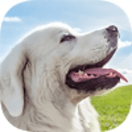 塔特拉牧羊犬模拟器 1.1.6 安卓版
